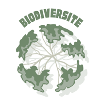 Stratégie d’entreprise et Biodiversité: Etapes et outils mobilisables